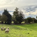 Le Petit Valet
