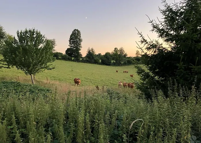 Apartamento Le Petit Valet *